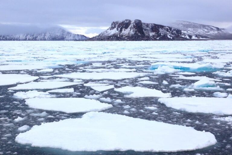 Уровень морского льда на Земле достиг исторического минимума — новости экологии на ECOportal